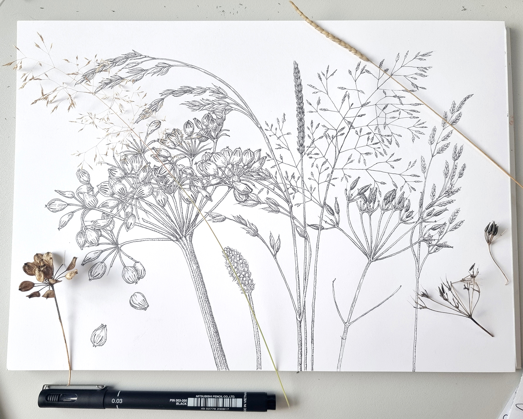 /uploads/courses/0426-02/Jackiespenandink_grasses.jpg