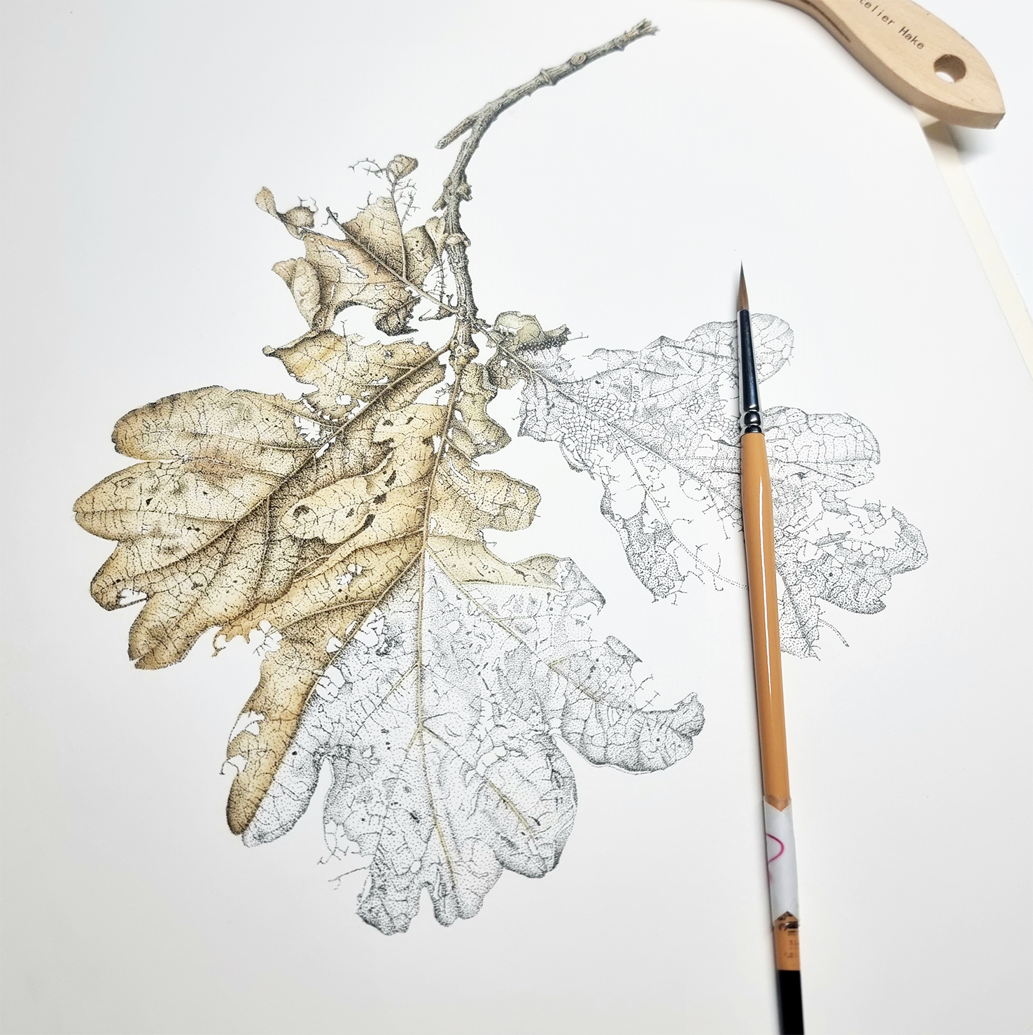 /uploads/courses/0426-02/aJackiespenand_inkoakleaves.jpg