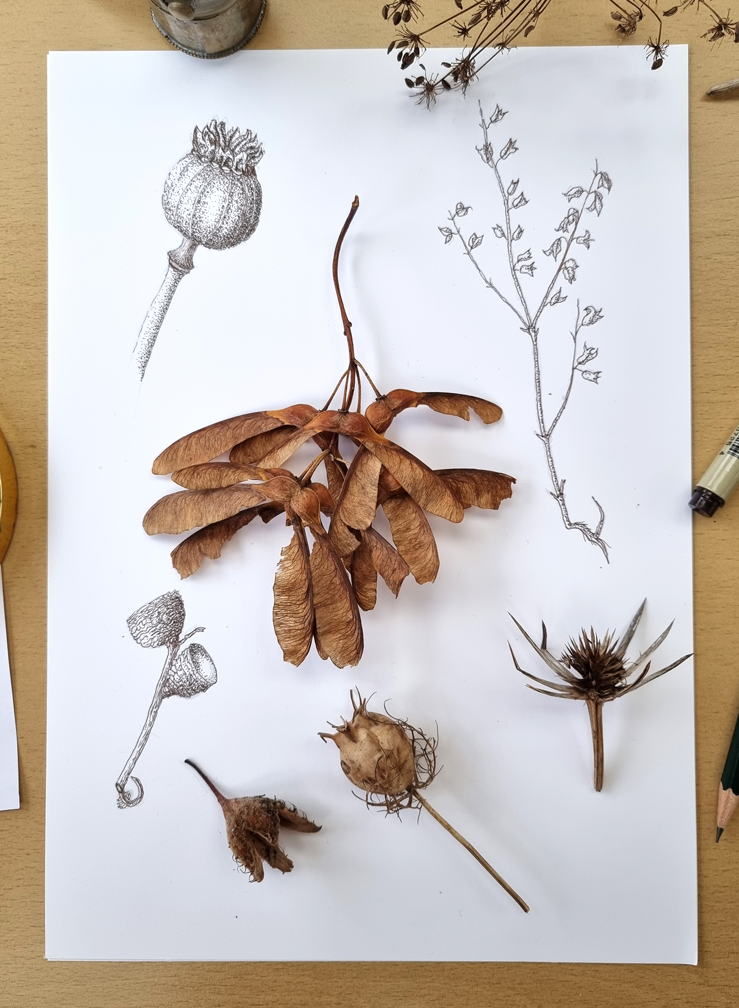 /uploads/courses/0426-02/studentpenand_ink.jpg