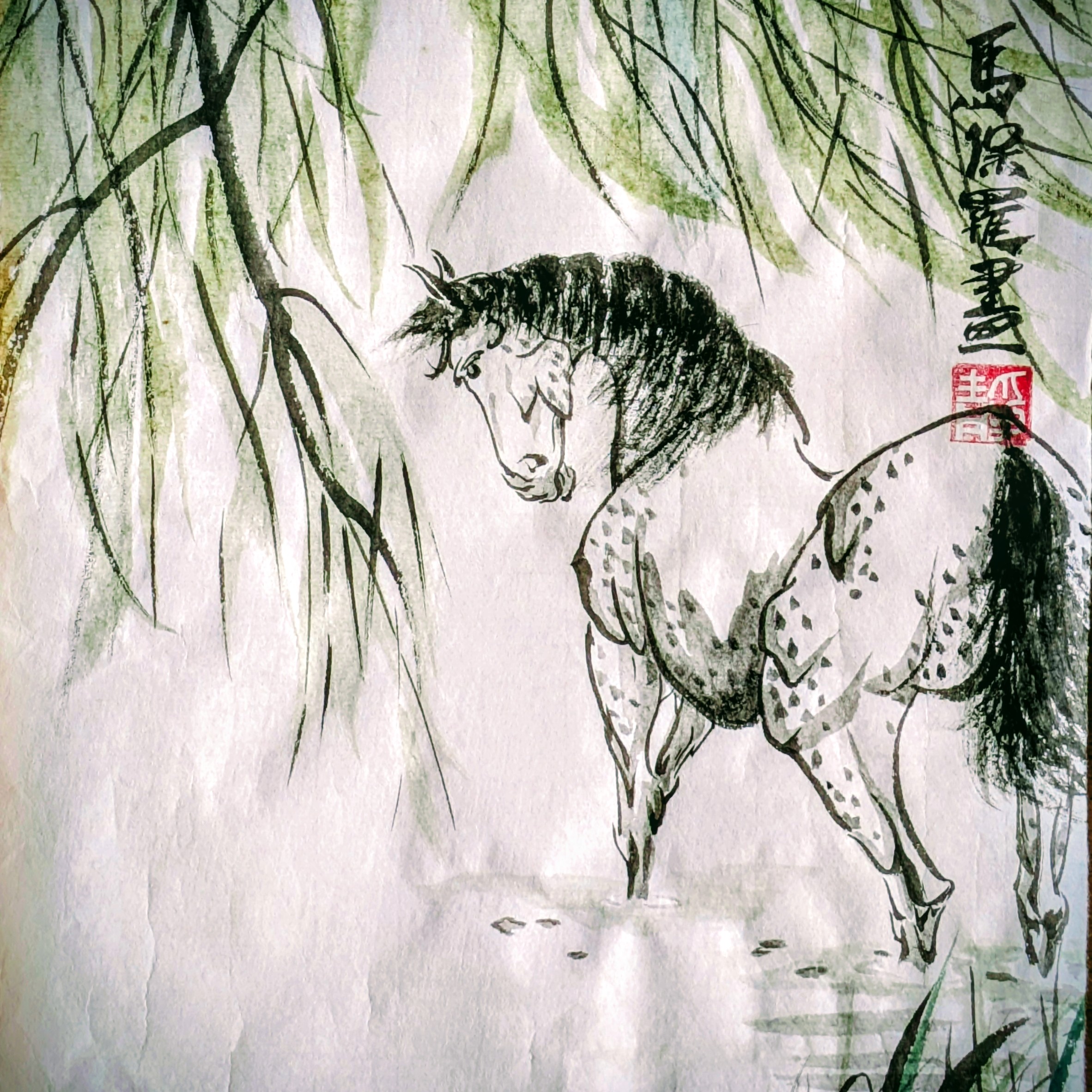/uploads/courses/0526-04/abcooling_off_horse_in_water_detail_-_P_Maslowski_2025.jpg